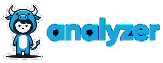 Analyzer Empresas
