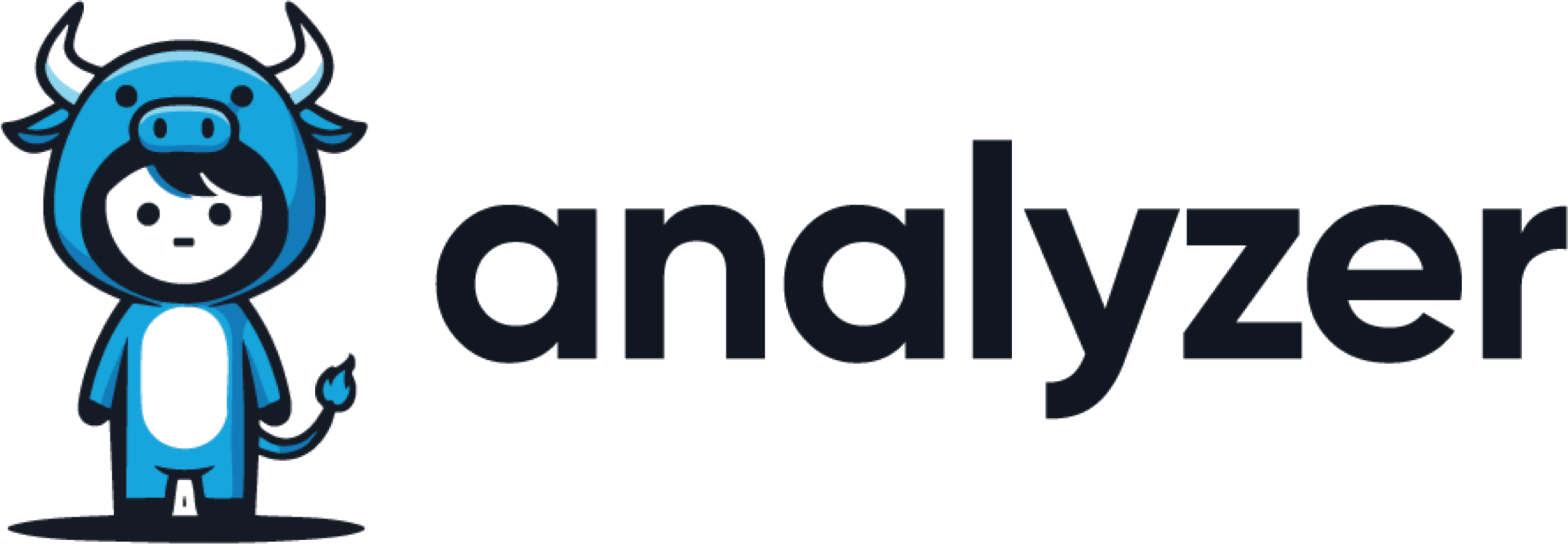Analyzer Empresas