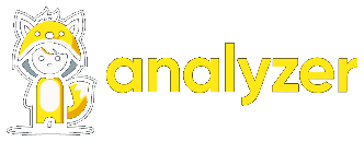 Analyzer
