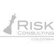 risk-consulting
